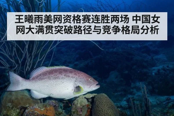 王曦雨美网资格赛连胜两场 中国女网大满贯突破路径与竞争格局分析